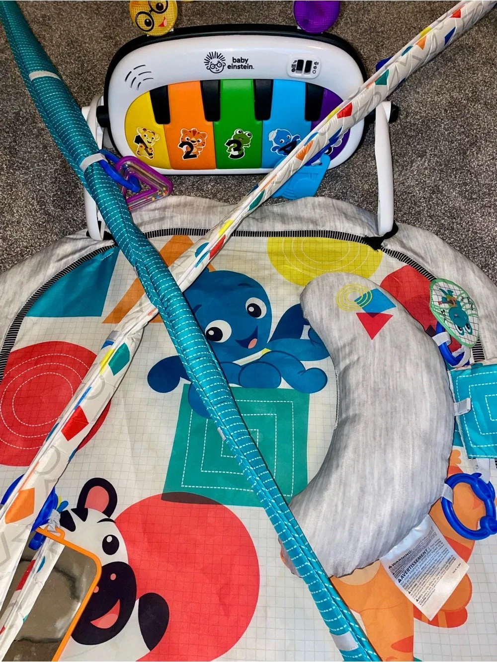 Baby Einstein engaging multi