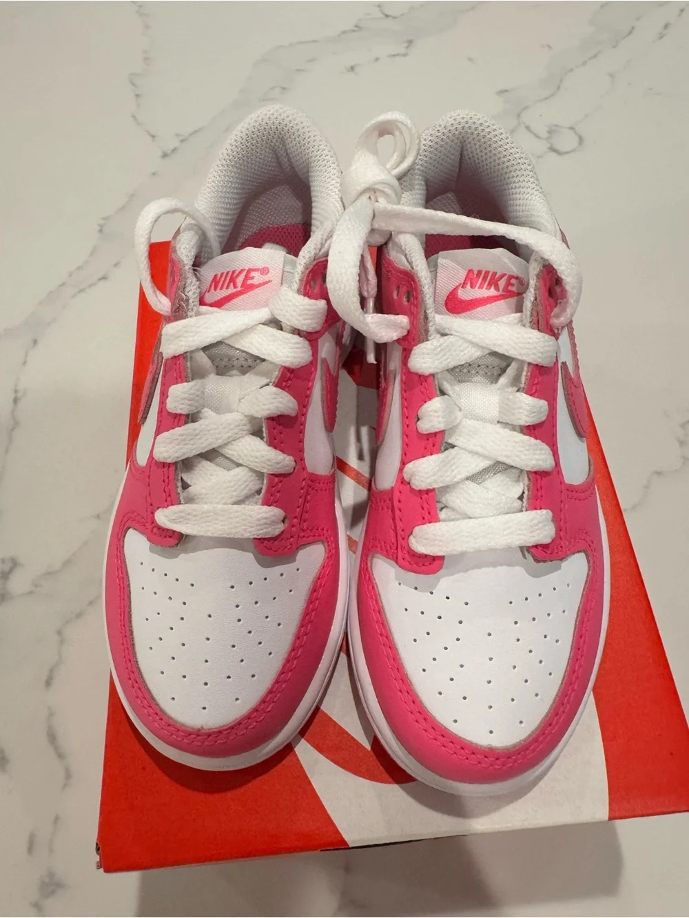 Nike nwt dunk