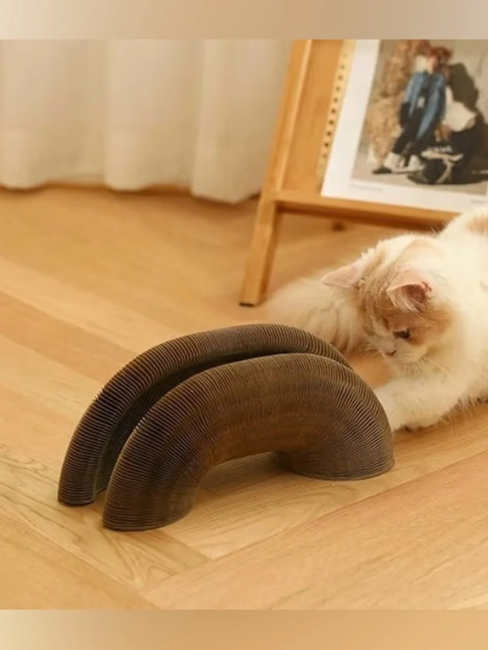 Cat Toy Interactive Ball Track
