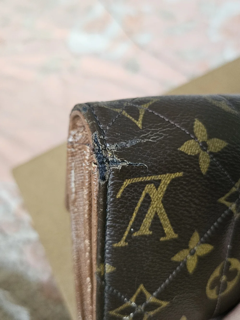 Louis Vuitton authentic louis