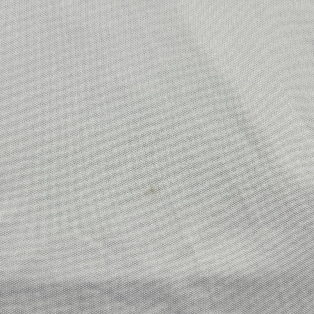 Polo Ralph Lauren brand polo