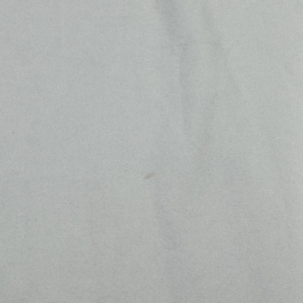 Polo Ralph Lauren brand polo