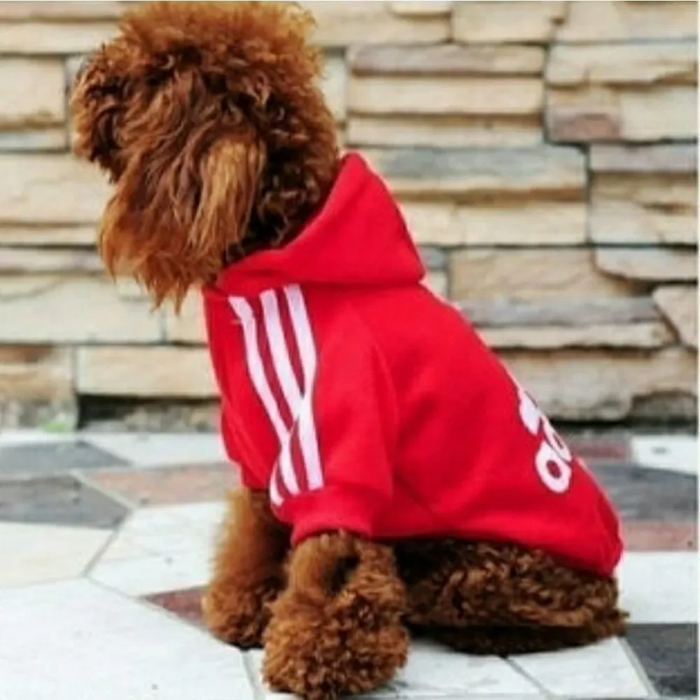 Pet hoodie sweater.