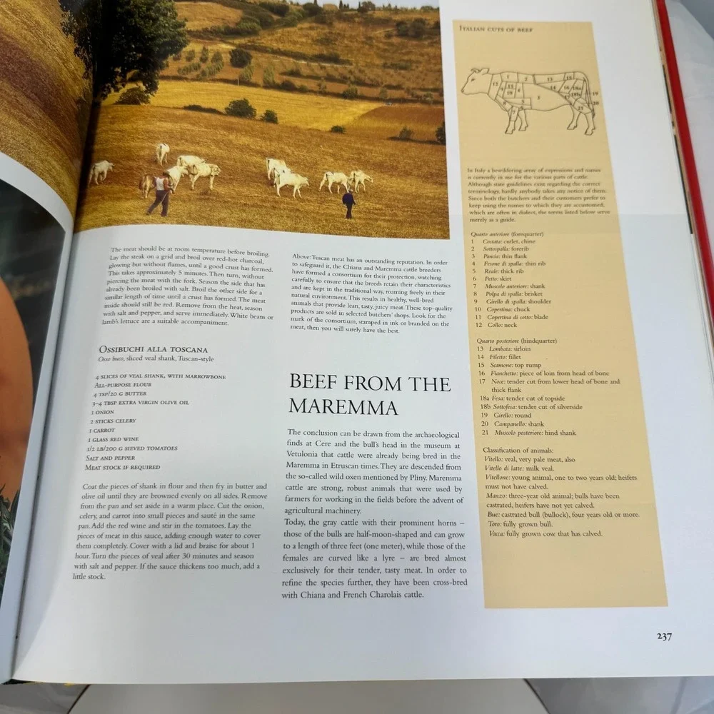 N/A italy culinaria making