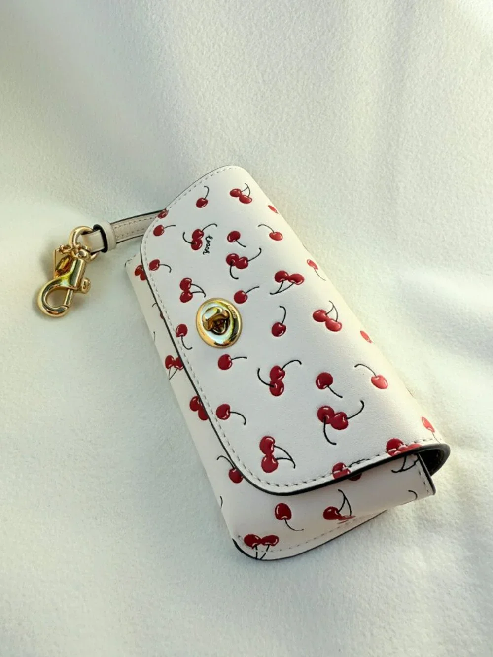 Coach closure turnlock clip