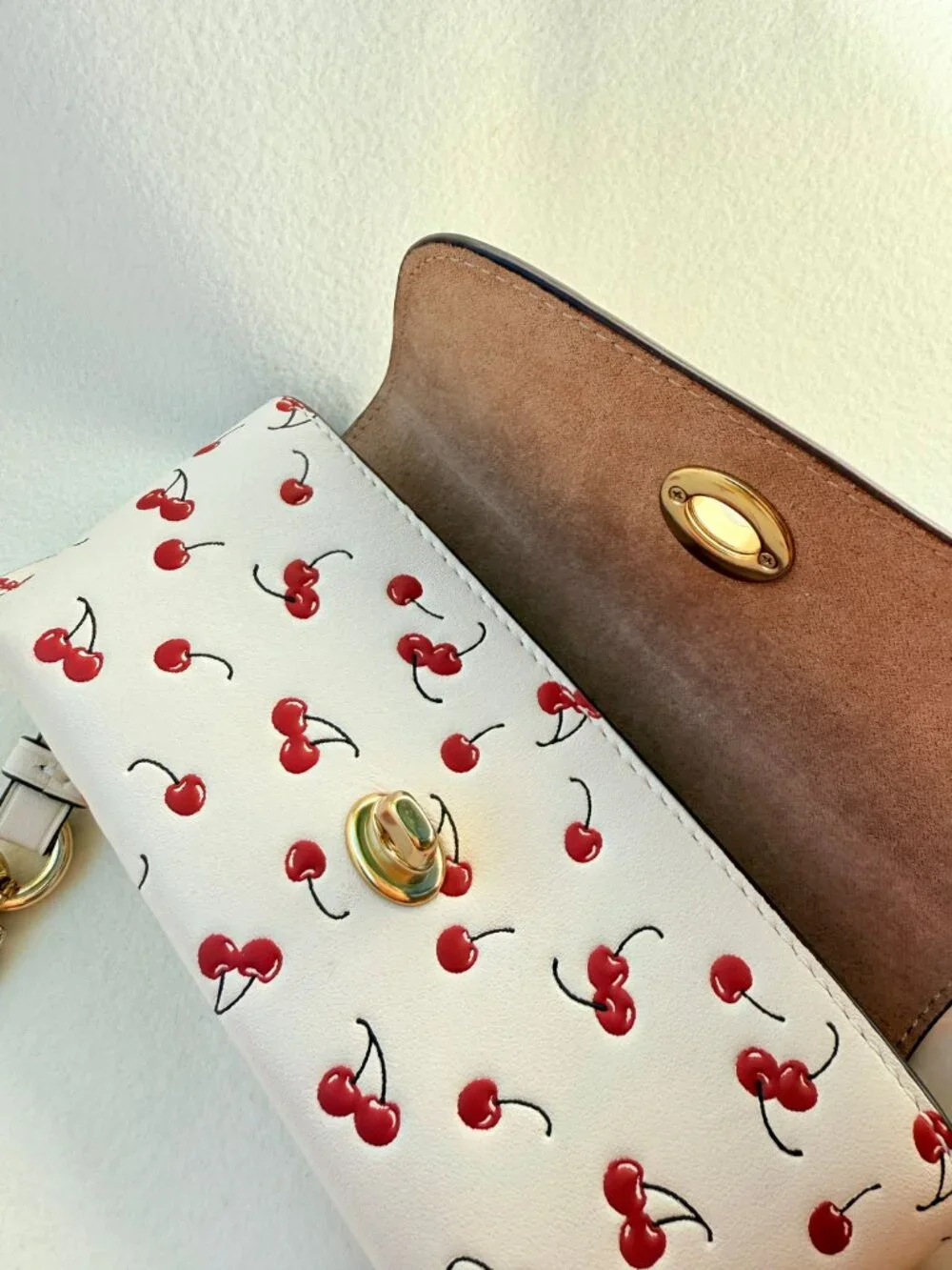 Coach closure fabric