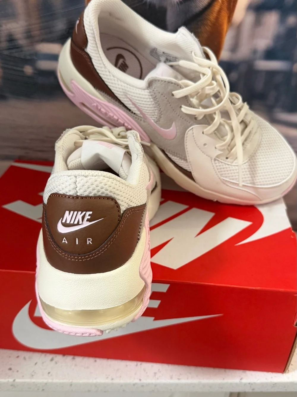 Nike stylish air