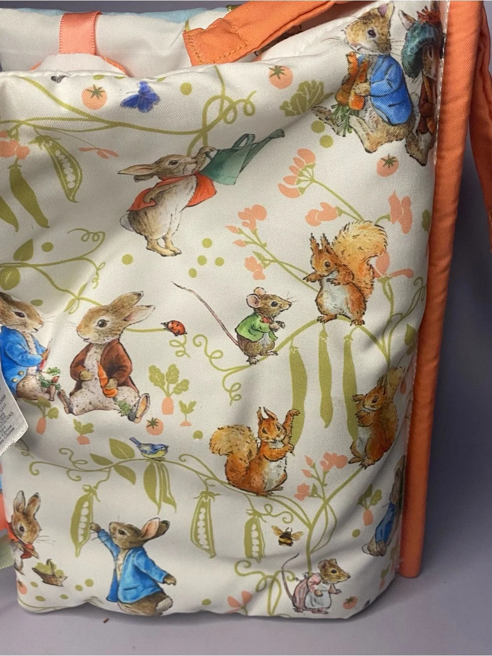 Peter Rabbit peter rabbit