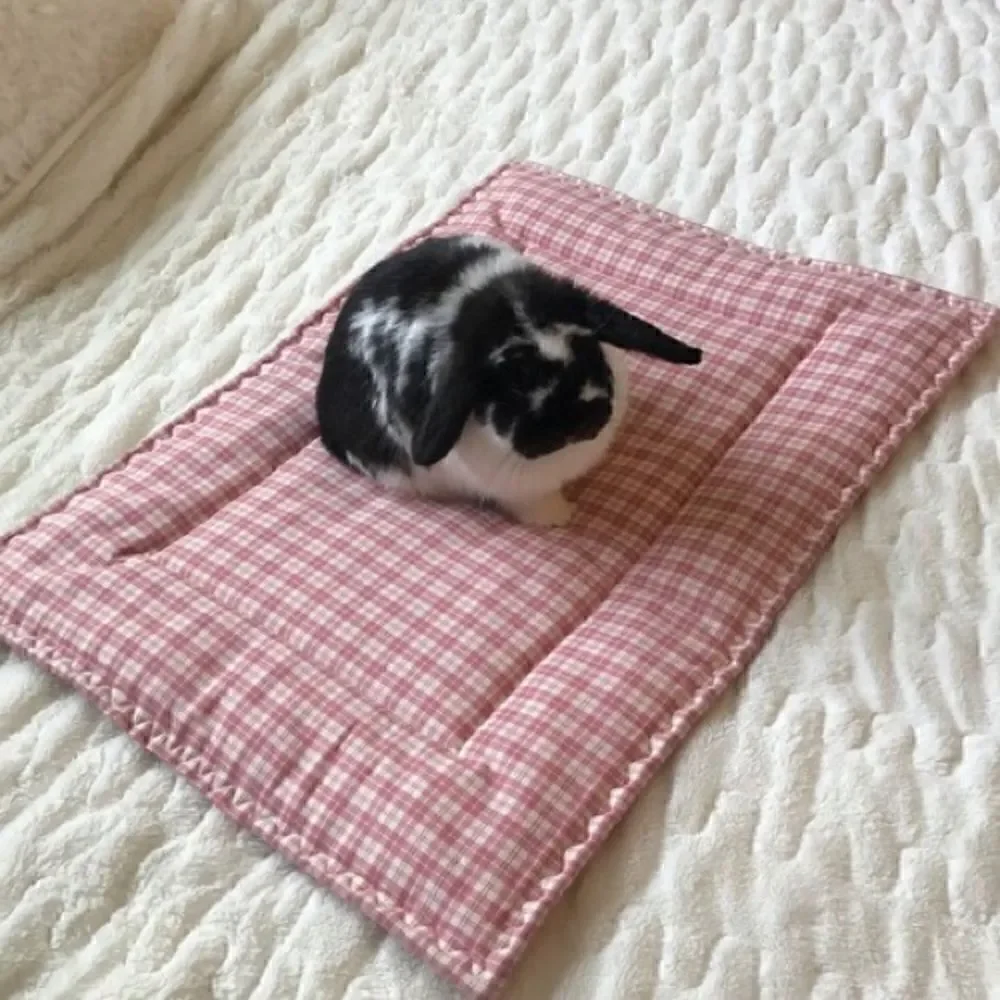 Cat Dog Pet Mat/Bed, Hello Kitty, Aqua,  18 x 24