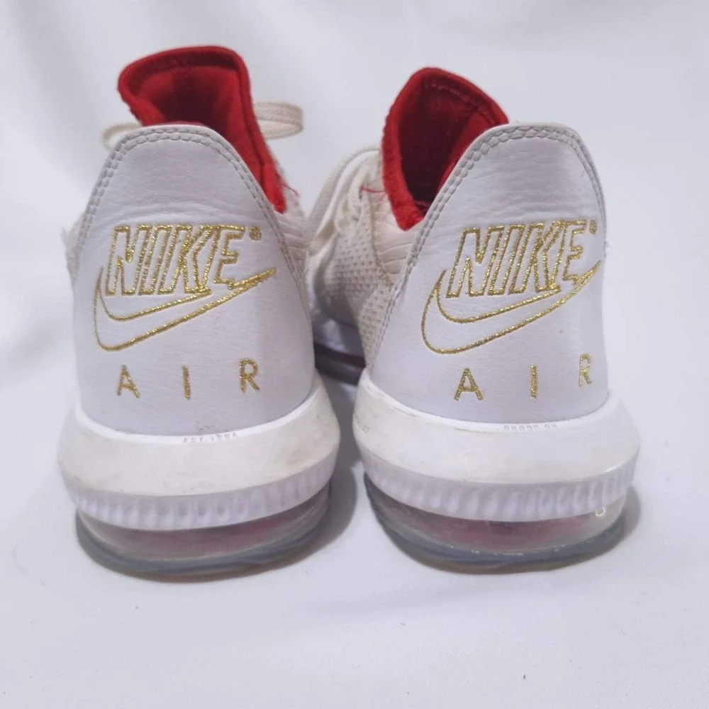 Nike lebron 16
