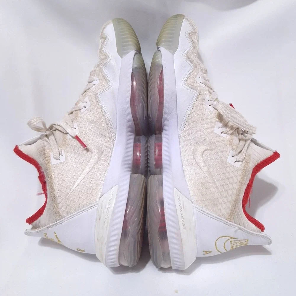 Nike lebron 16