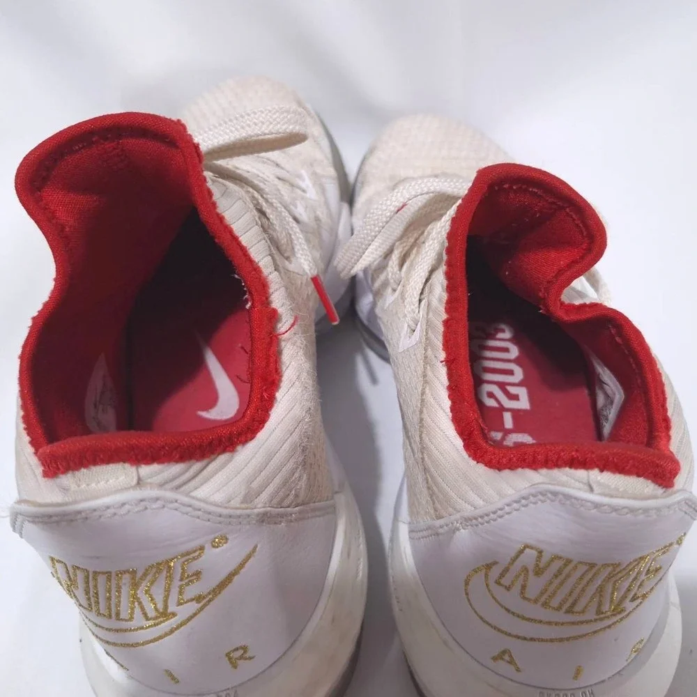 Nike lebron 16