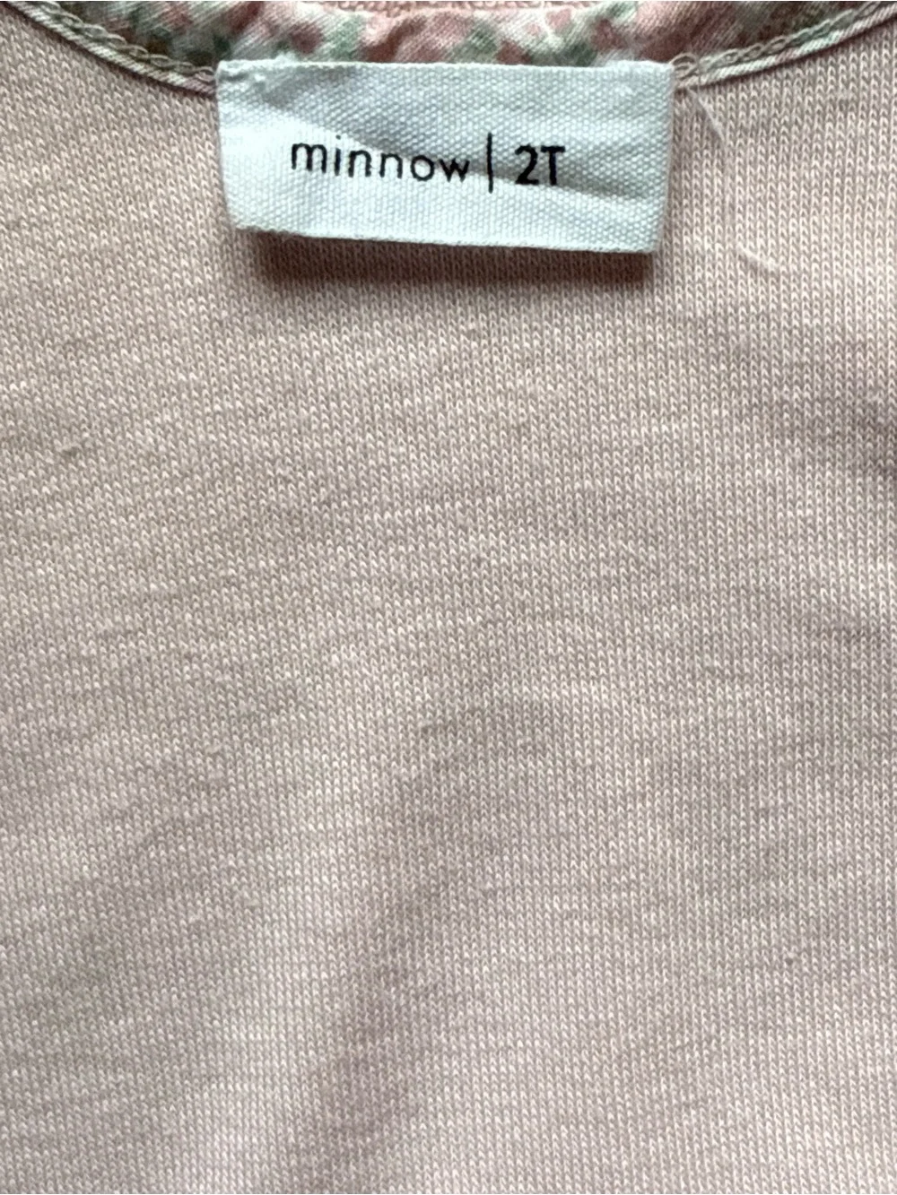 Minnow used one