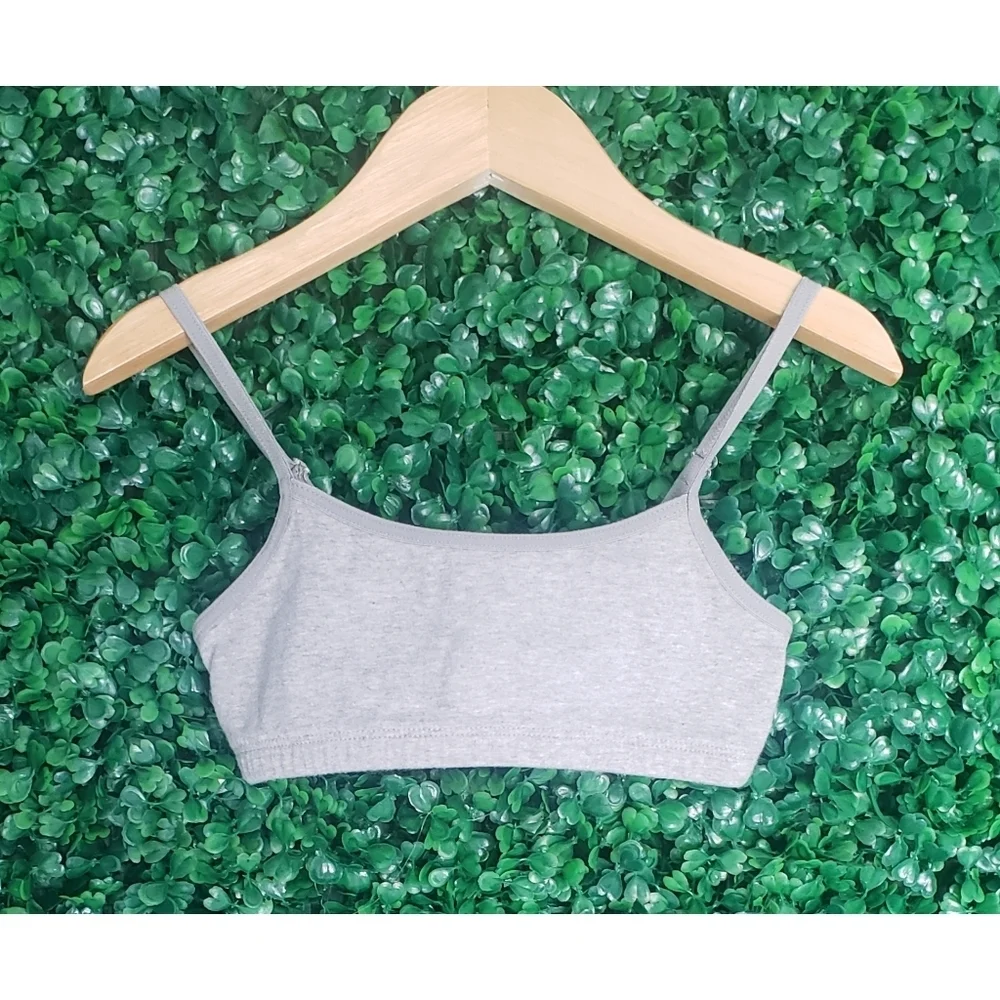 79. 2/$15 Gap Girls bralettes