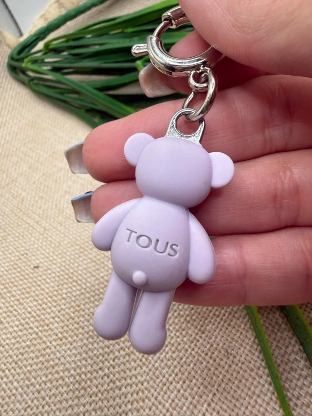 Tous cute bear