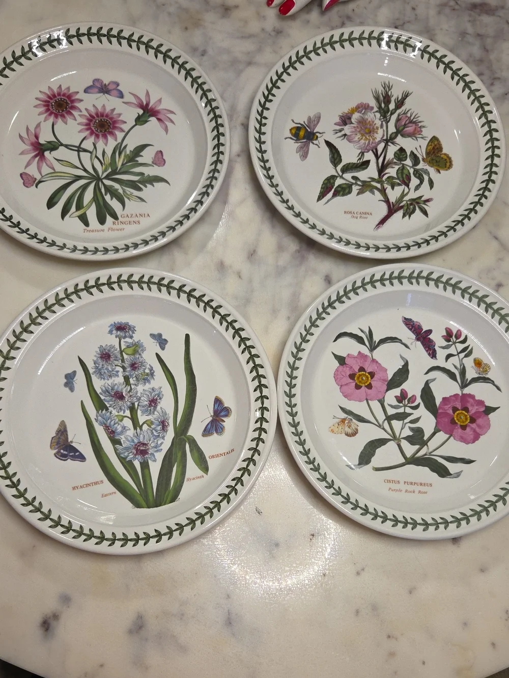 Vintage Portmeirion The Botanic Garden Floral Salad Plates 1972 | Britian Set 4