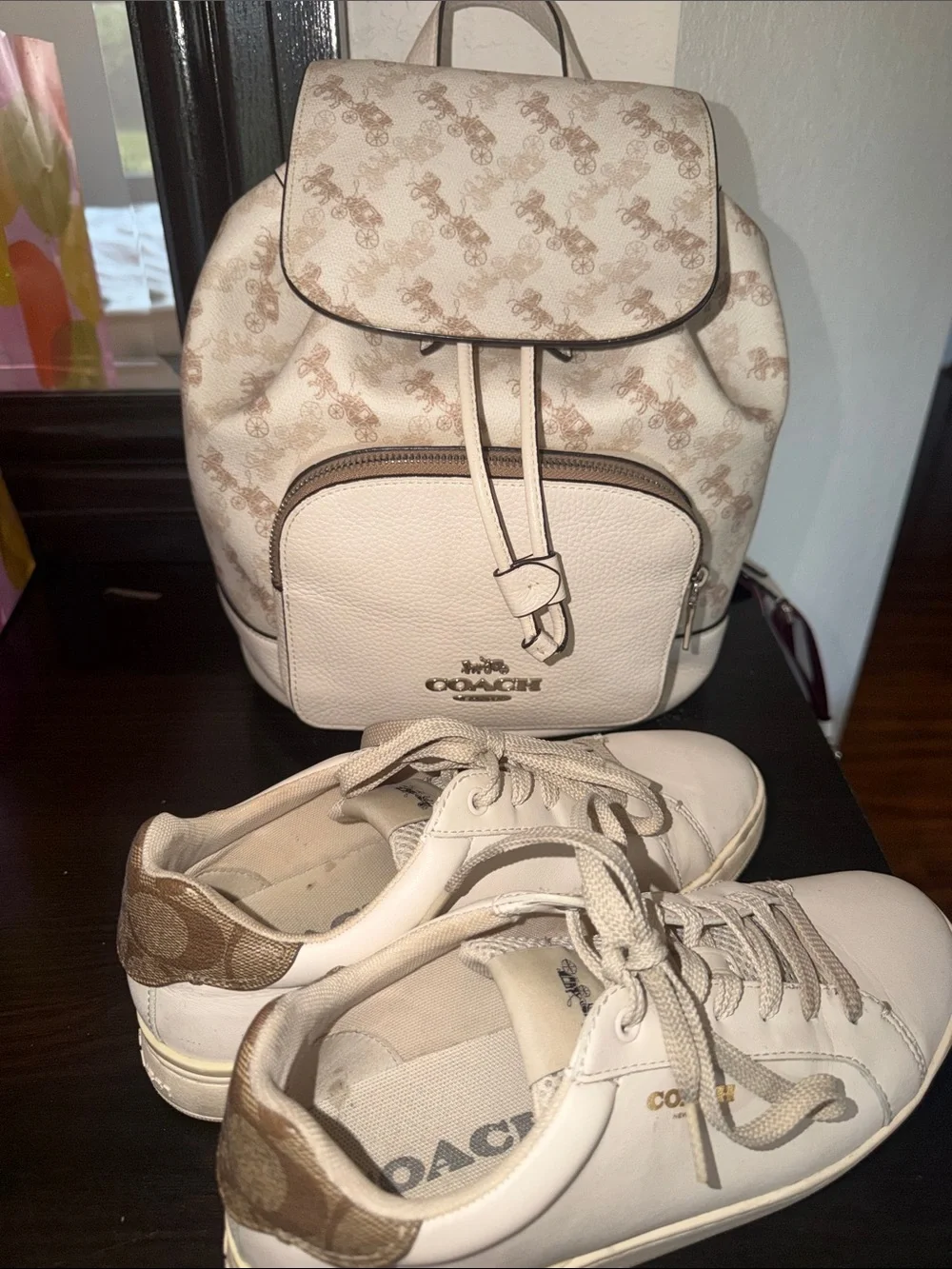Coach stylish backpack
