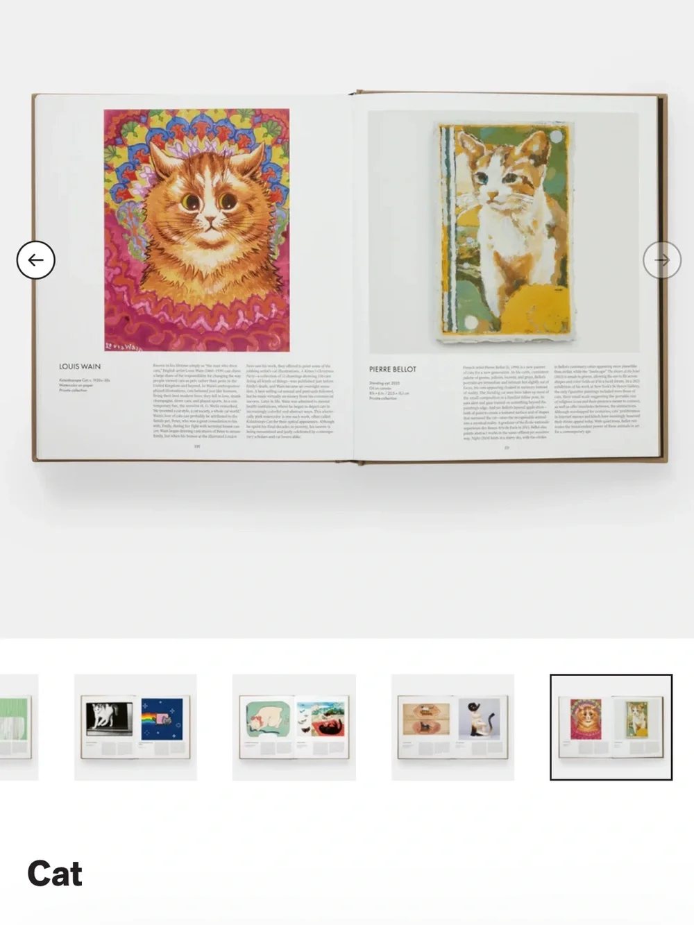 Phaidon gift cat