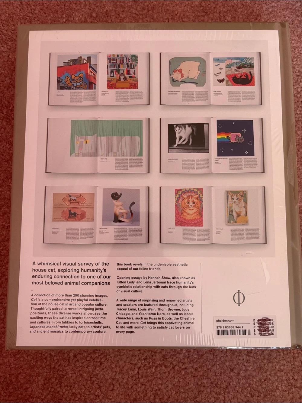 Phaidon gift cat