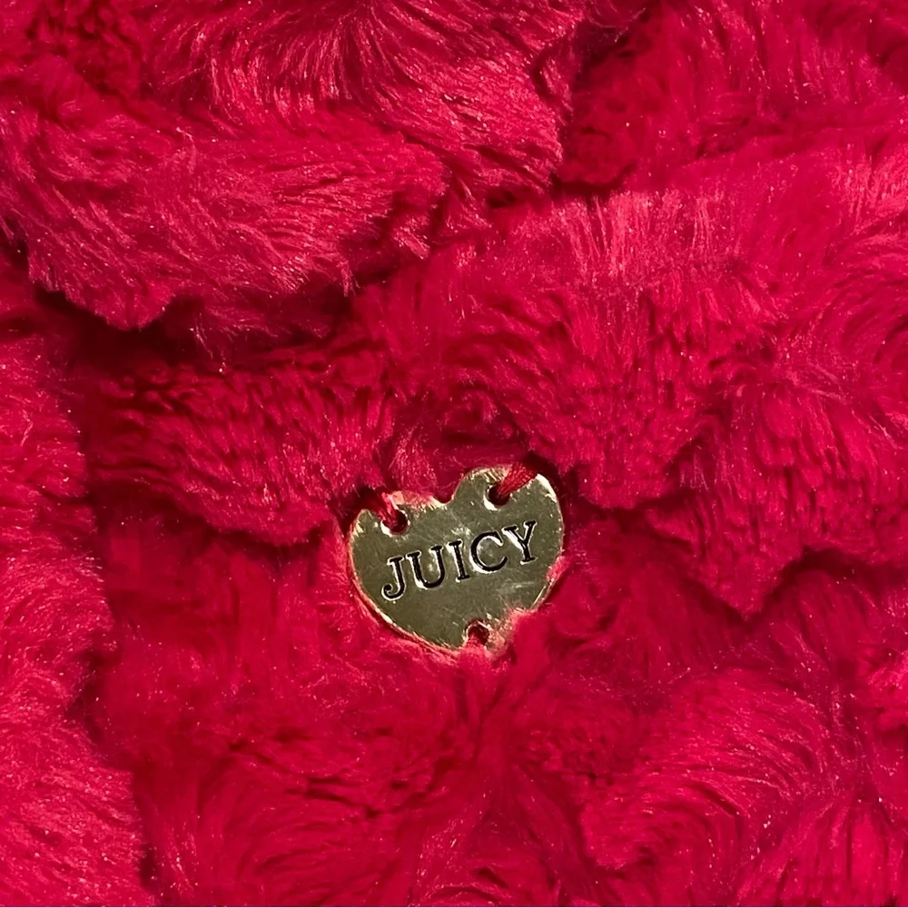 Juicy Couture this coat