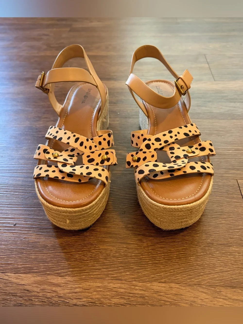 Indigo stylish tan
