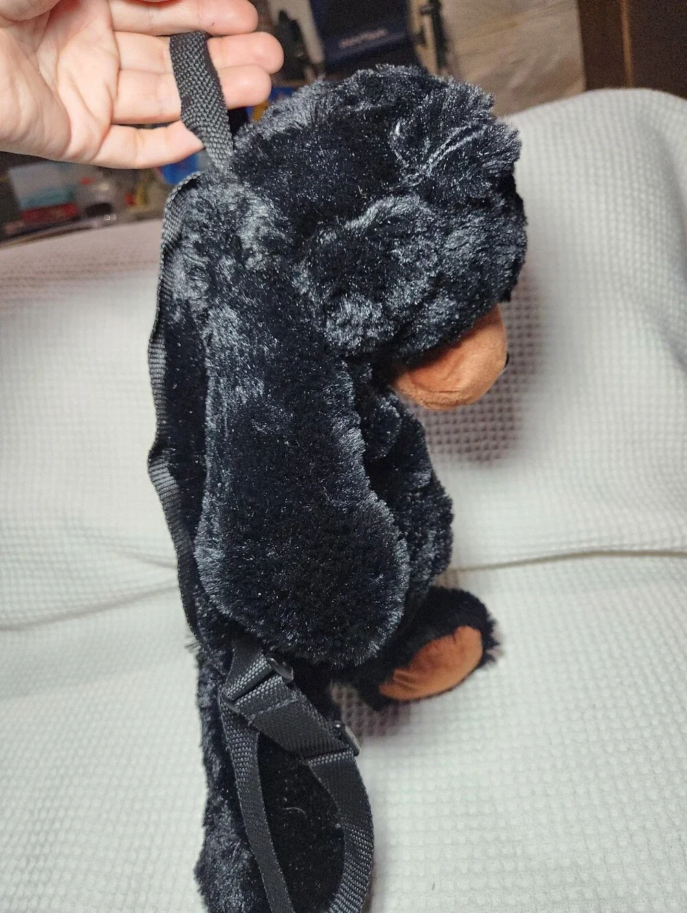 Black Bear soft black