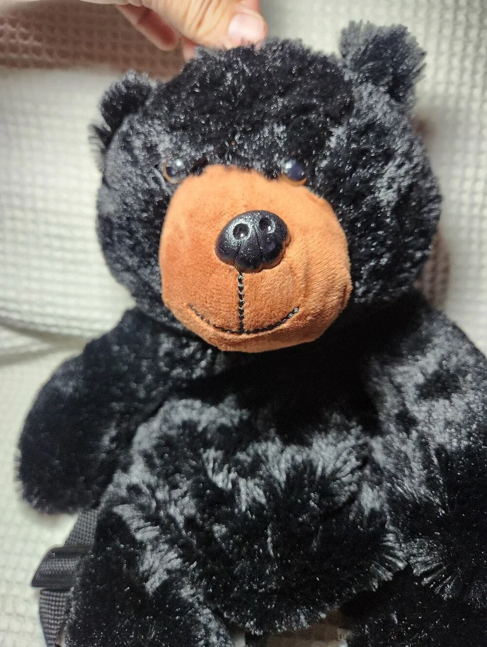 Black Bear soft black