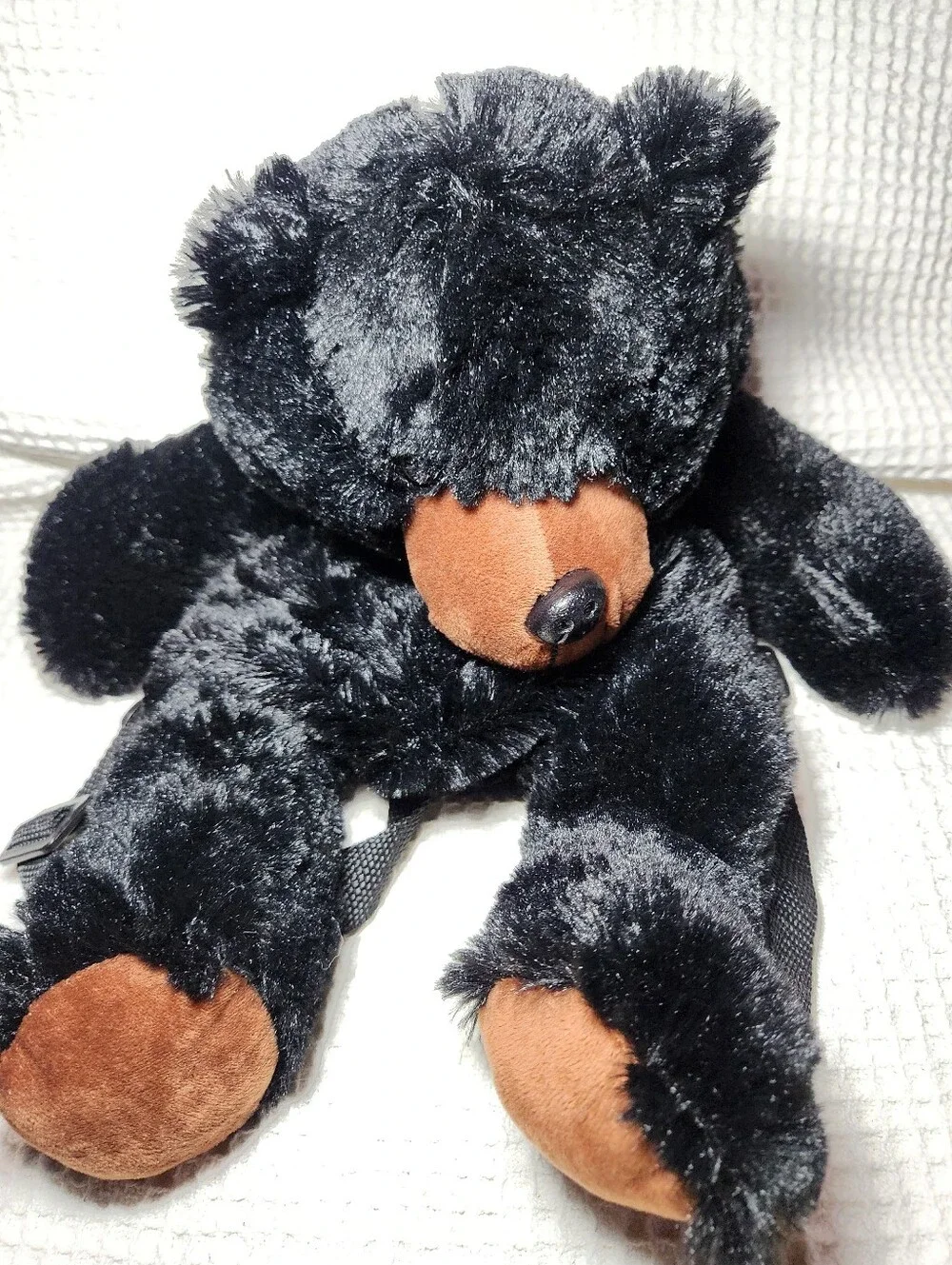 Black Bear soft black