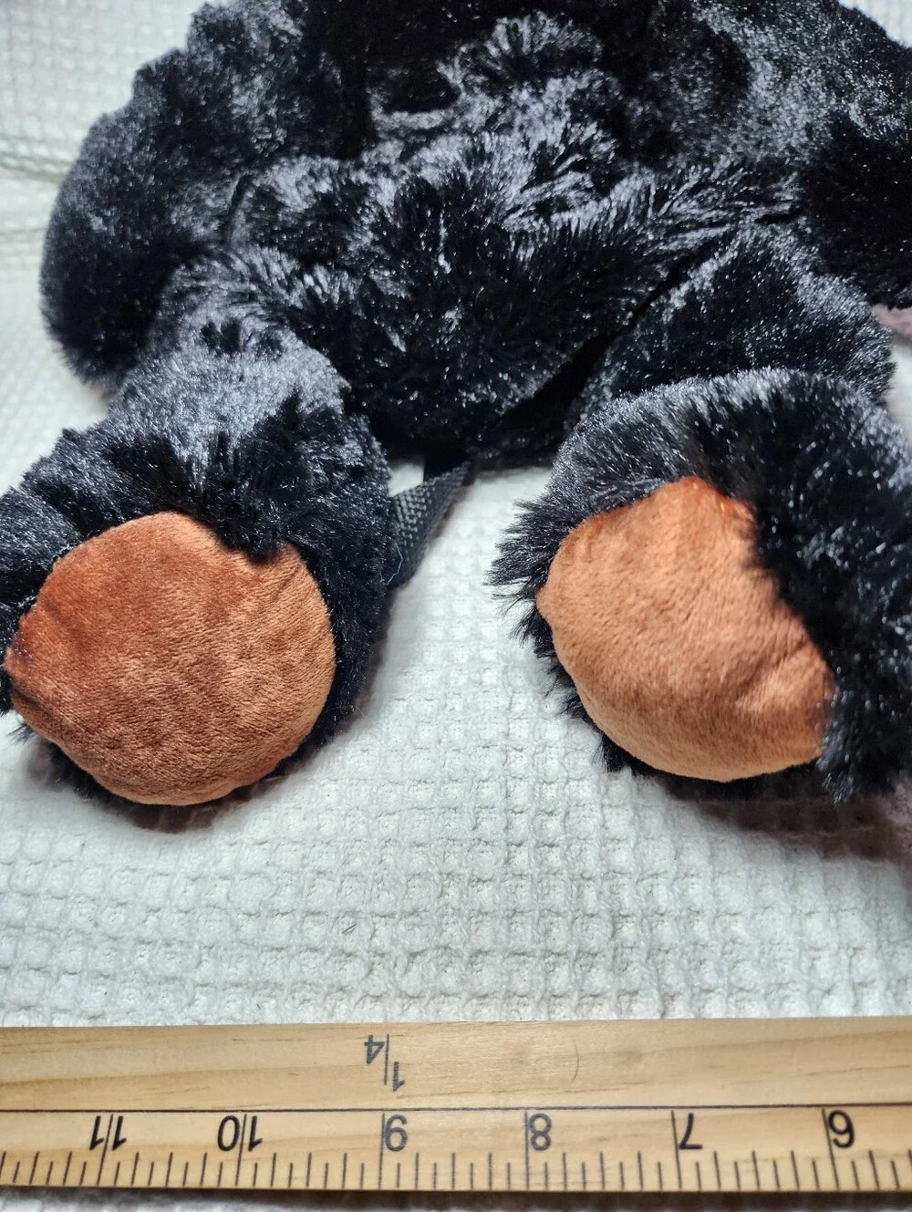 Black Bear soft black