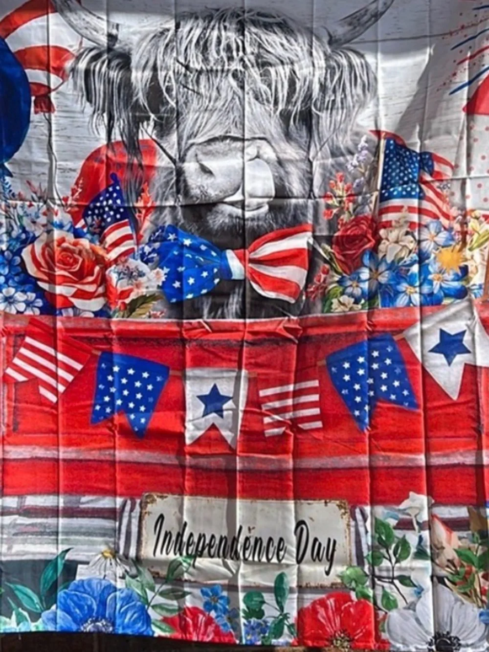 The Unbranded Brand patriotic american