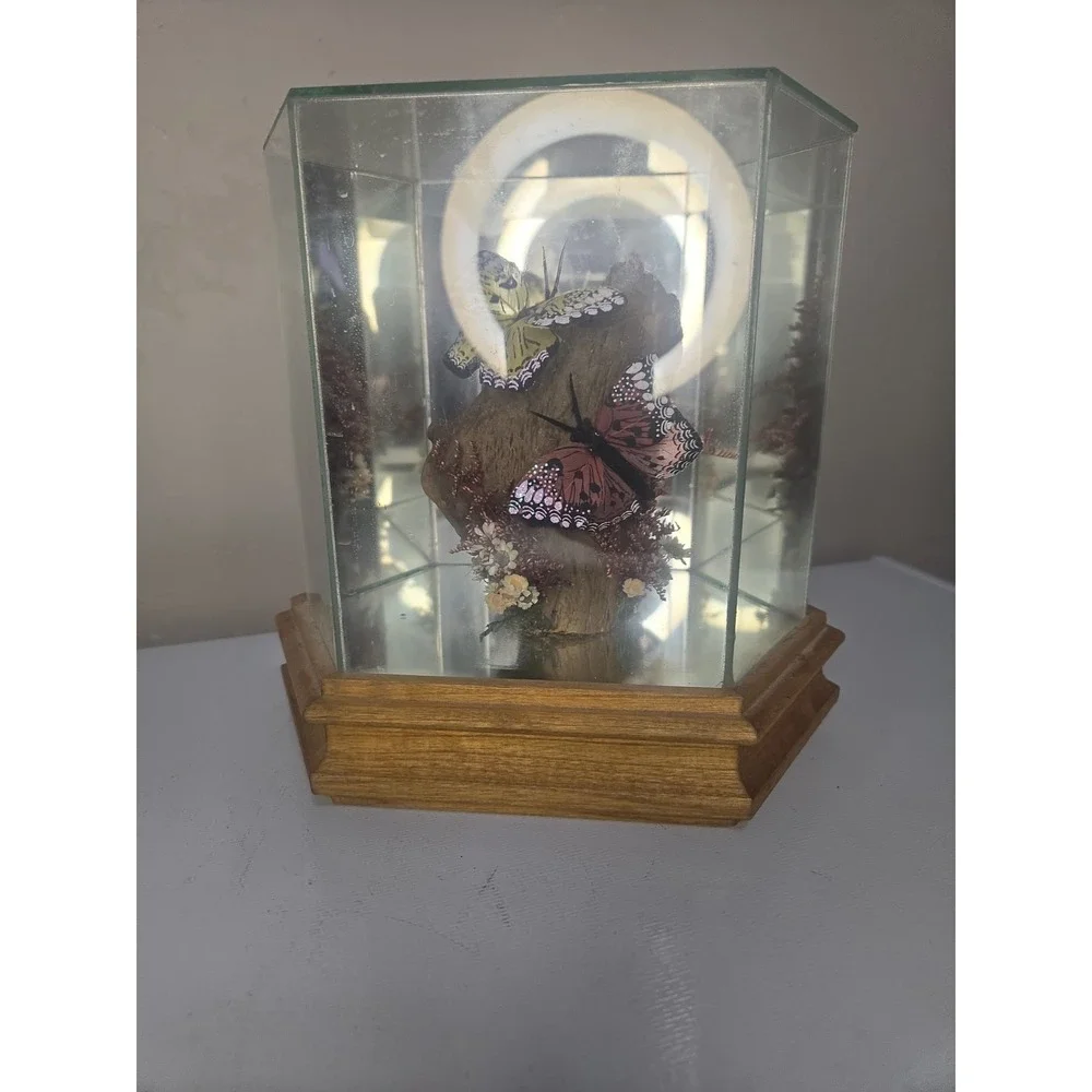 Vintage Glass & Wood Hexagonal Butterfly Taxidermy Diorama Display Yellow Pink