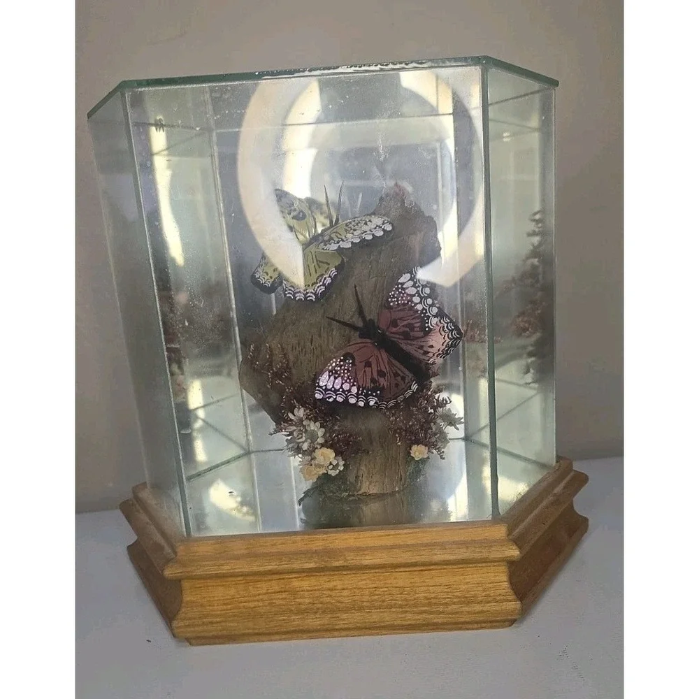 Vintage Glass & Wood Hexagonal Butterfly Taxidermy Diorama Display Yellow Pink