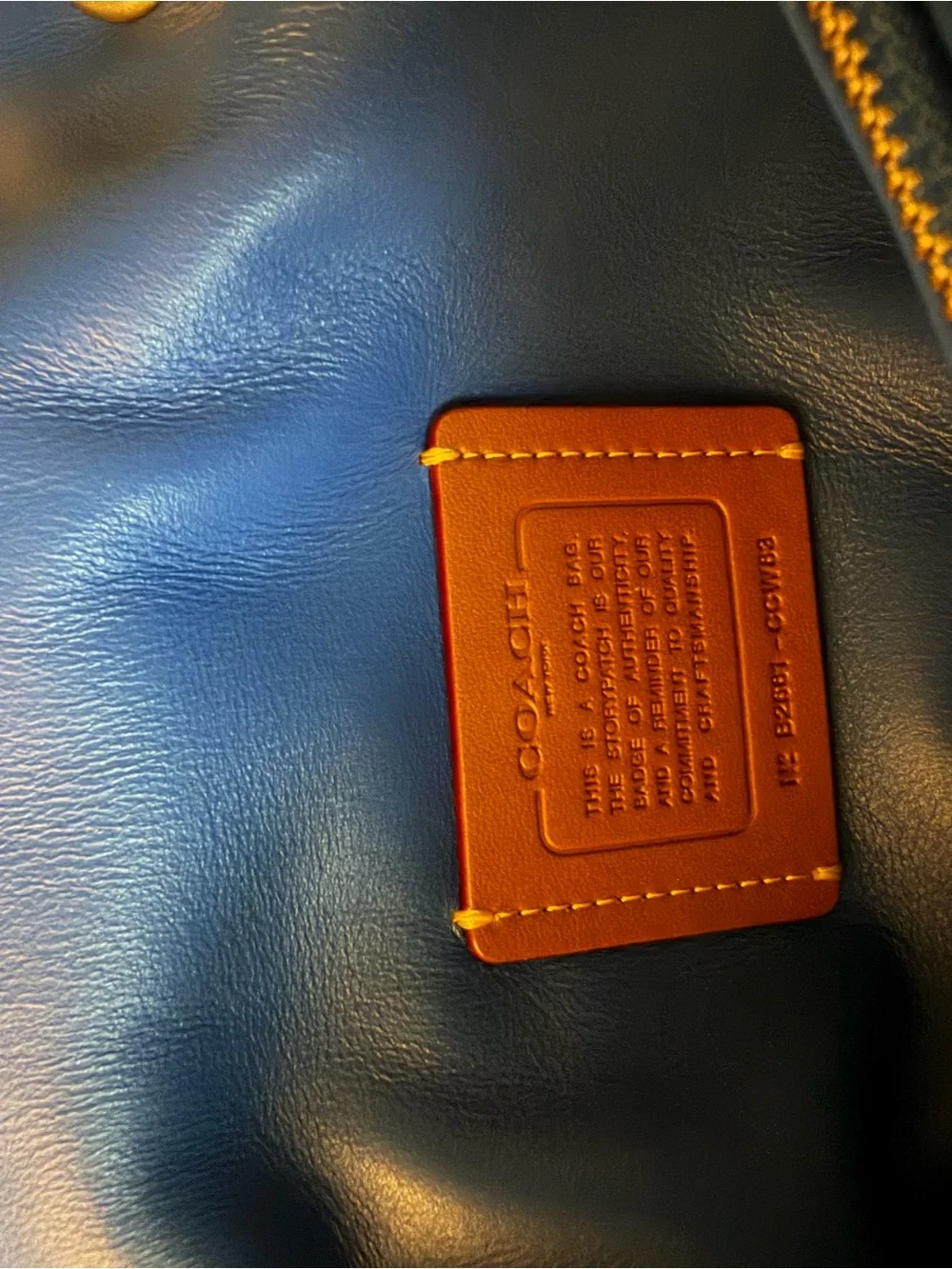 Coach stylish blue