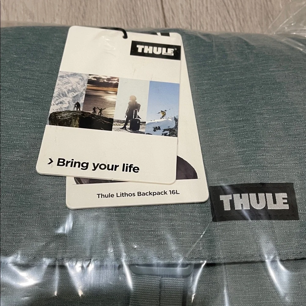 Thule modern backpack