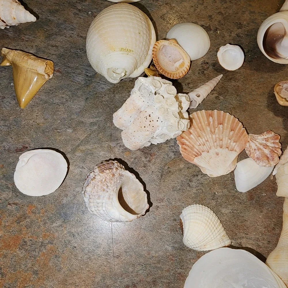 N/A sea perfect decorating