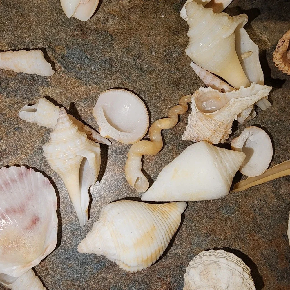 N/A also sea photos