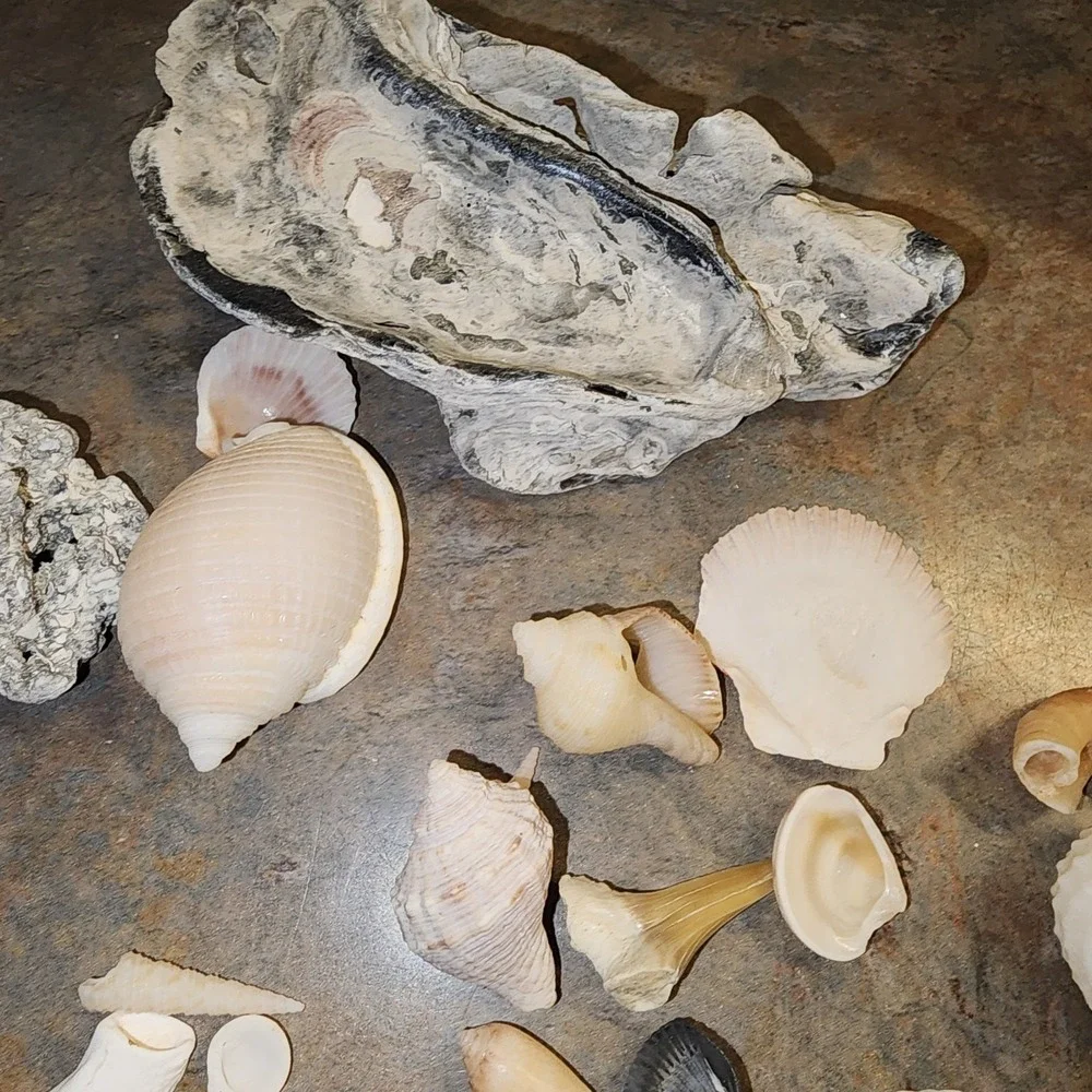 N/A nautical lot