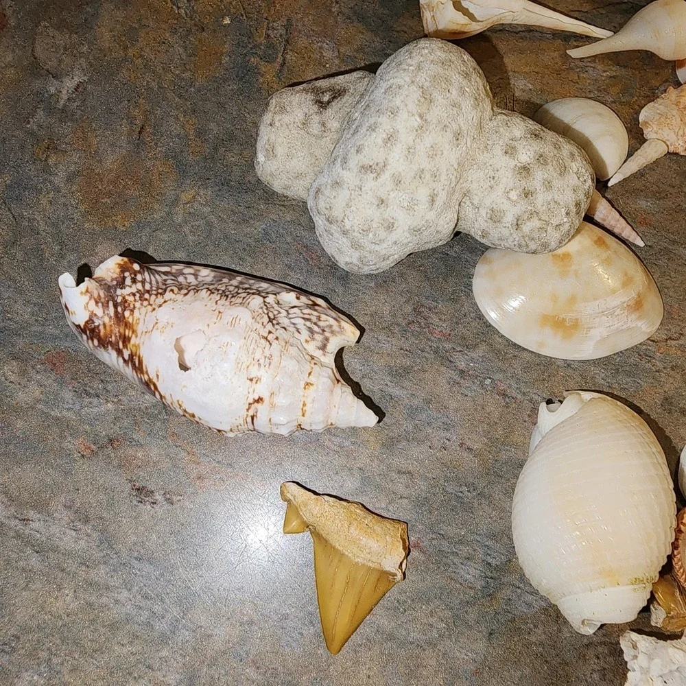 N/A aquarium used photos