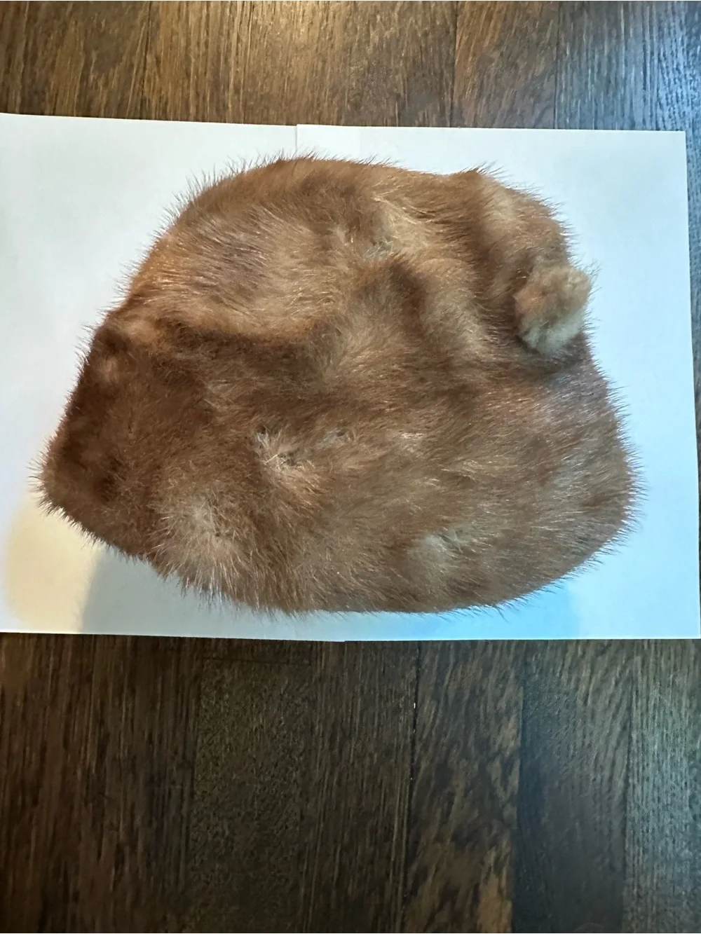 Women’s Vintage Fox Fur Hat 1940 1950 Brown With Hat Pin And Box