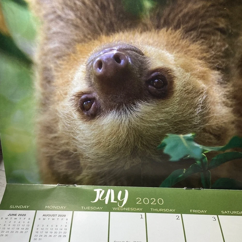 Sloths 2020 Calendar Unused New 7”x7”