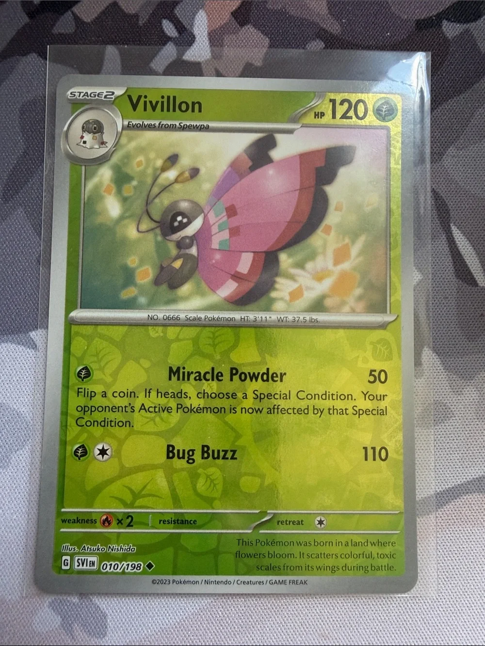 Pokemon small lot