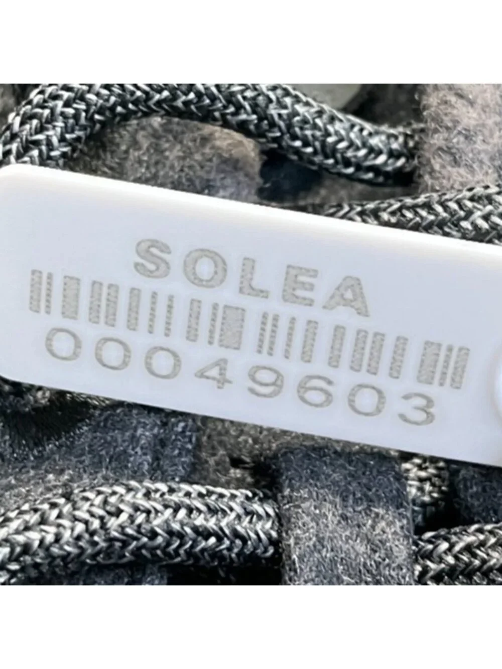 allbirds please review