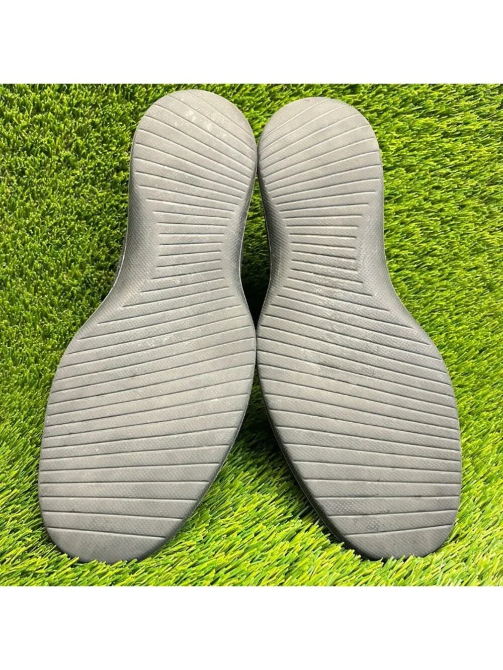 allbirds please review