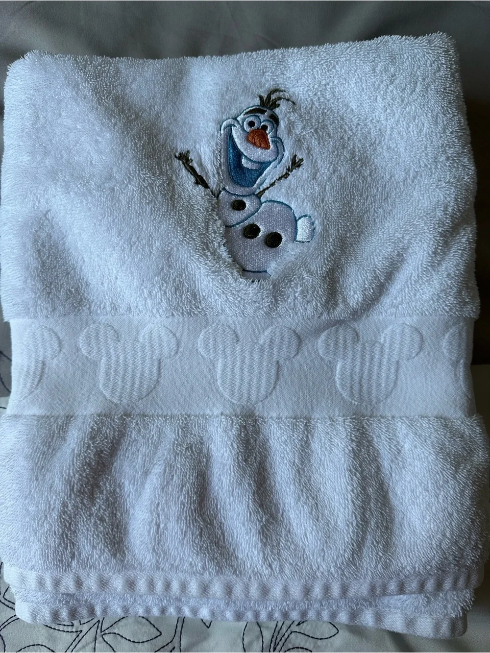 Disney authentic parks