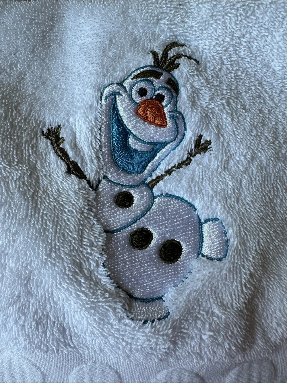 Disney authentic parks