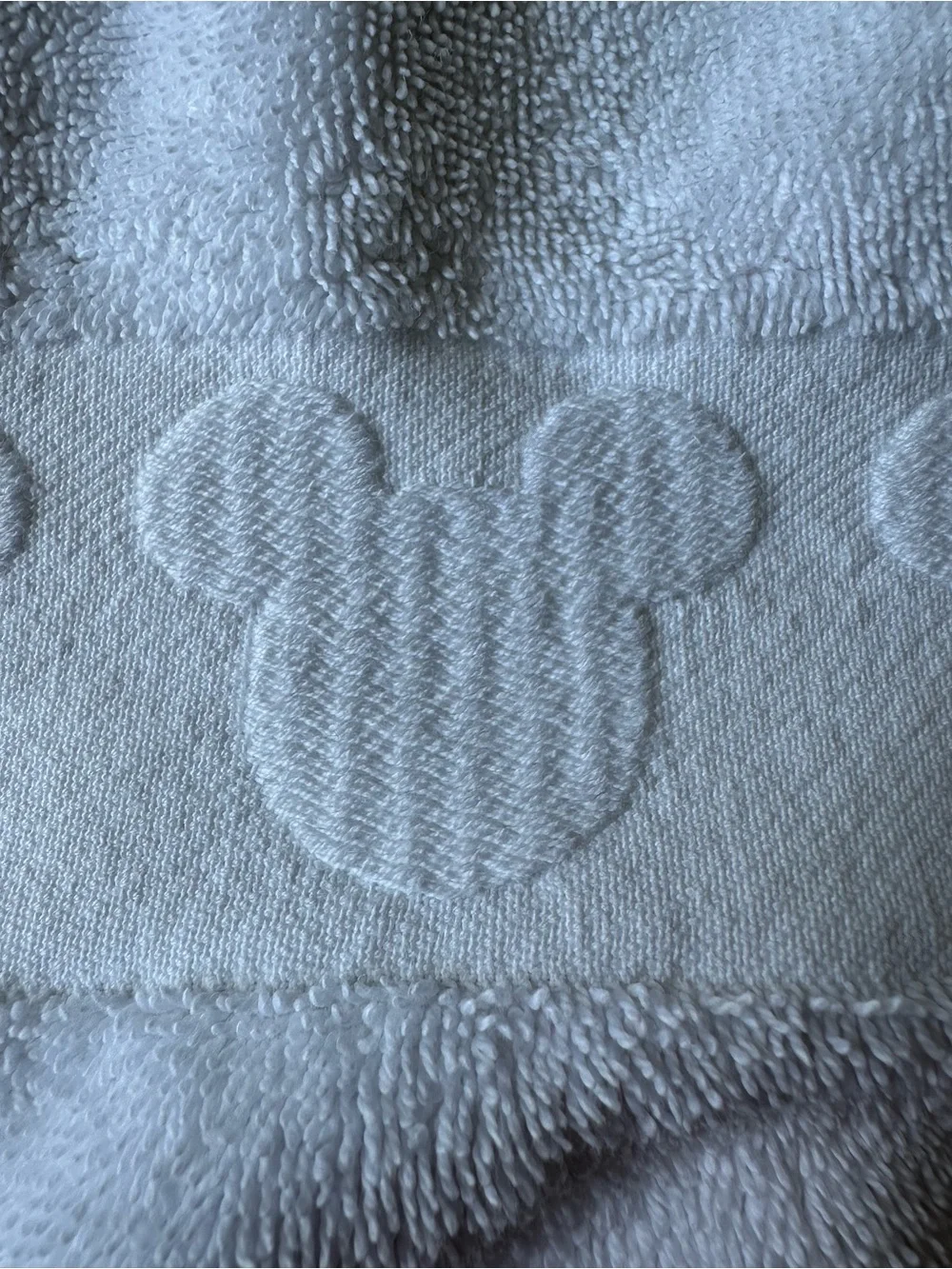 Disney authentic parks