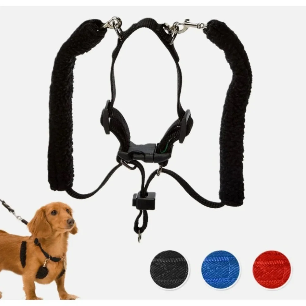 Sporn halter harness