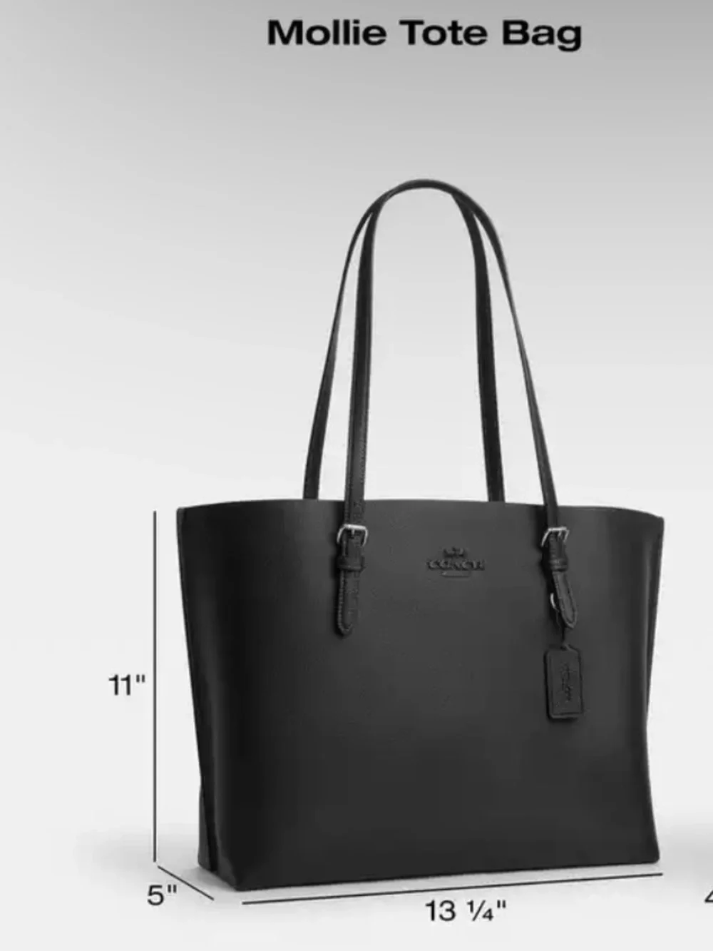 Coach structured pebbled