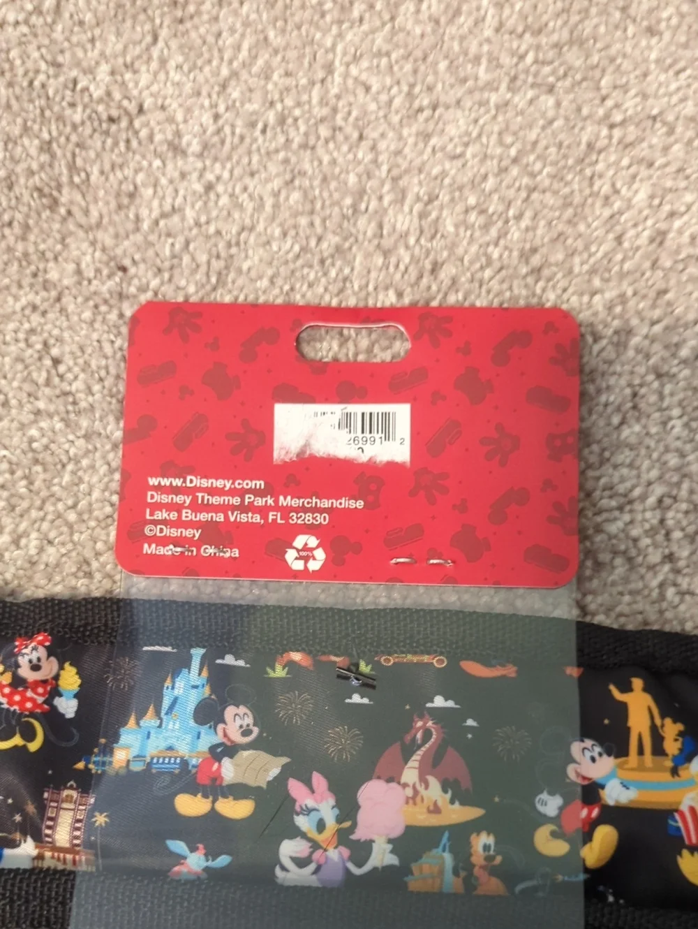Disney walt world