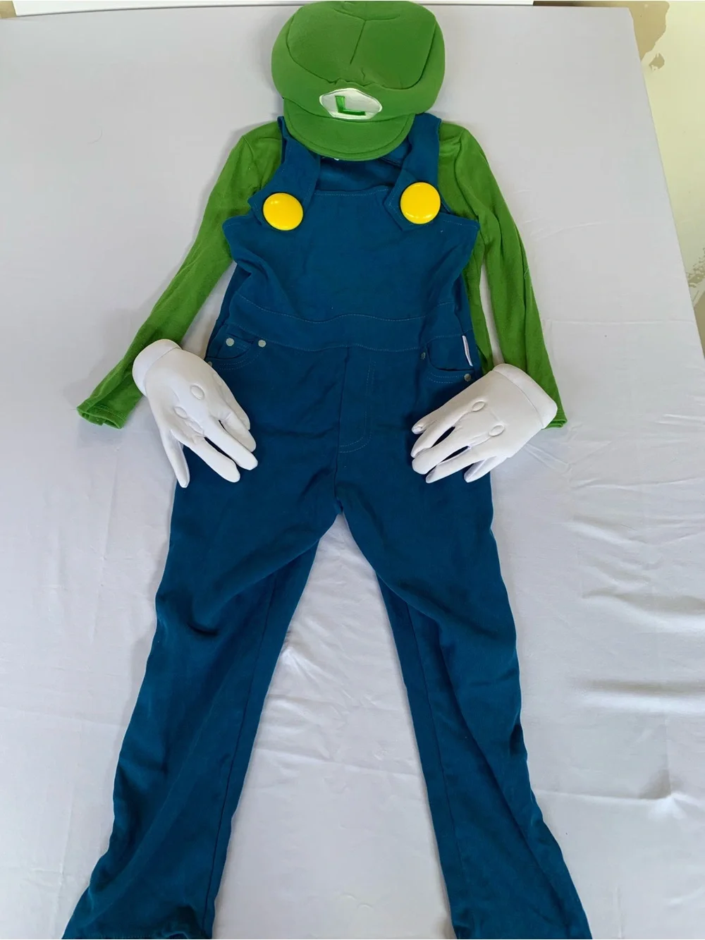 Nintendo official luigi